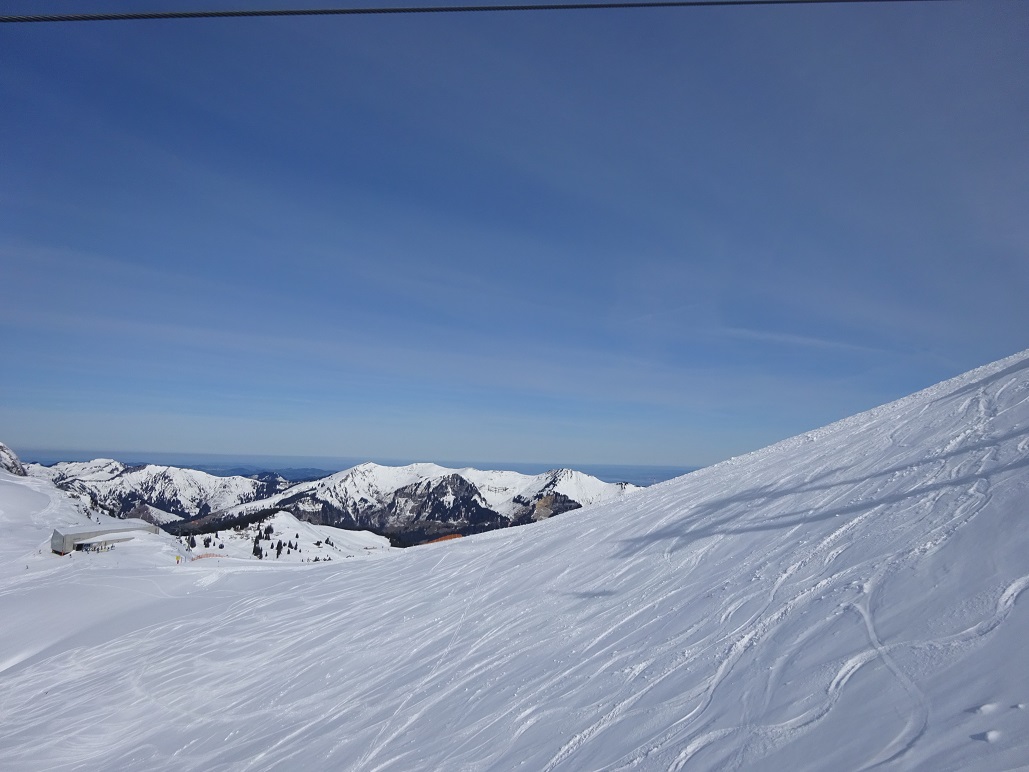 dsc020621whevw.jpg
