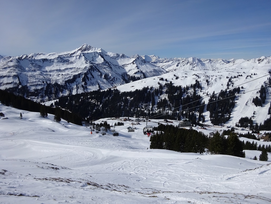 dsc020651sqizu.jpg