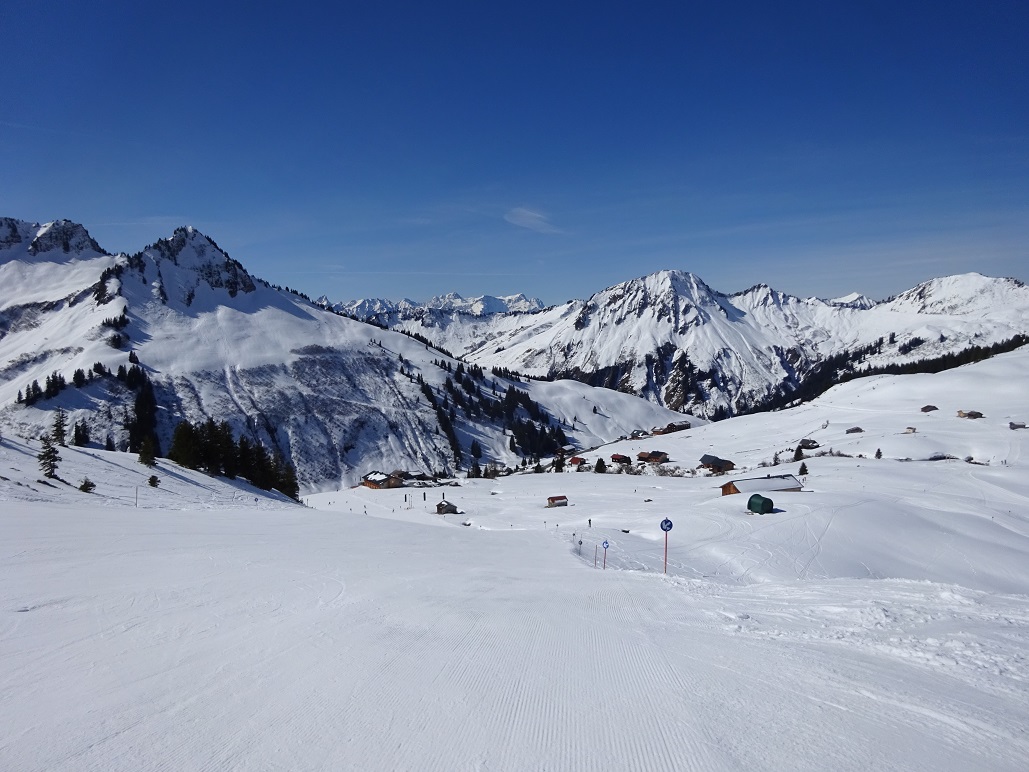 dsc020721k9ekq.jpg
