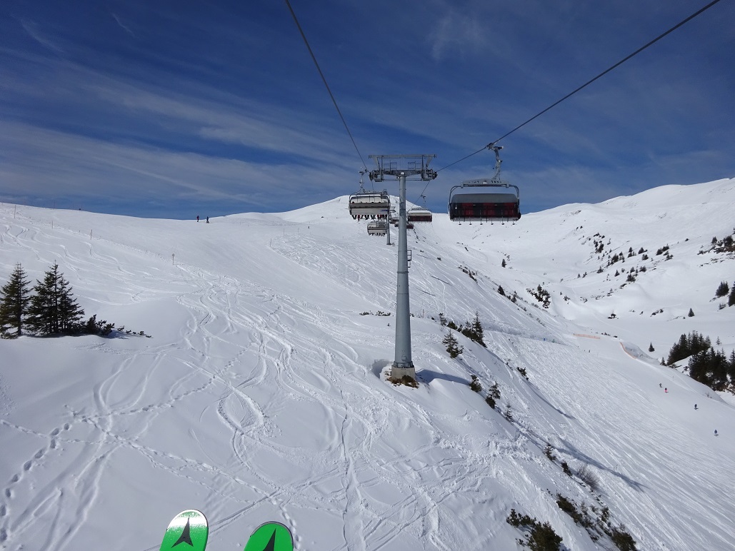 dsc020781y0c5a.jpg