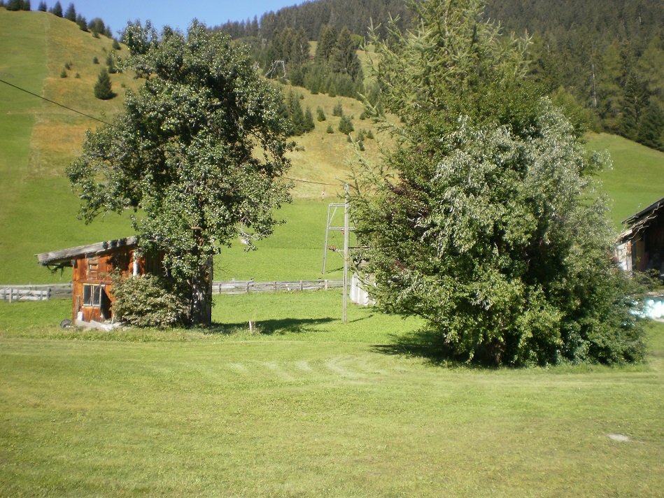 pa020081_01m0elz.jpg