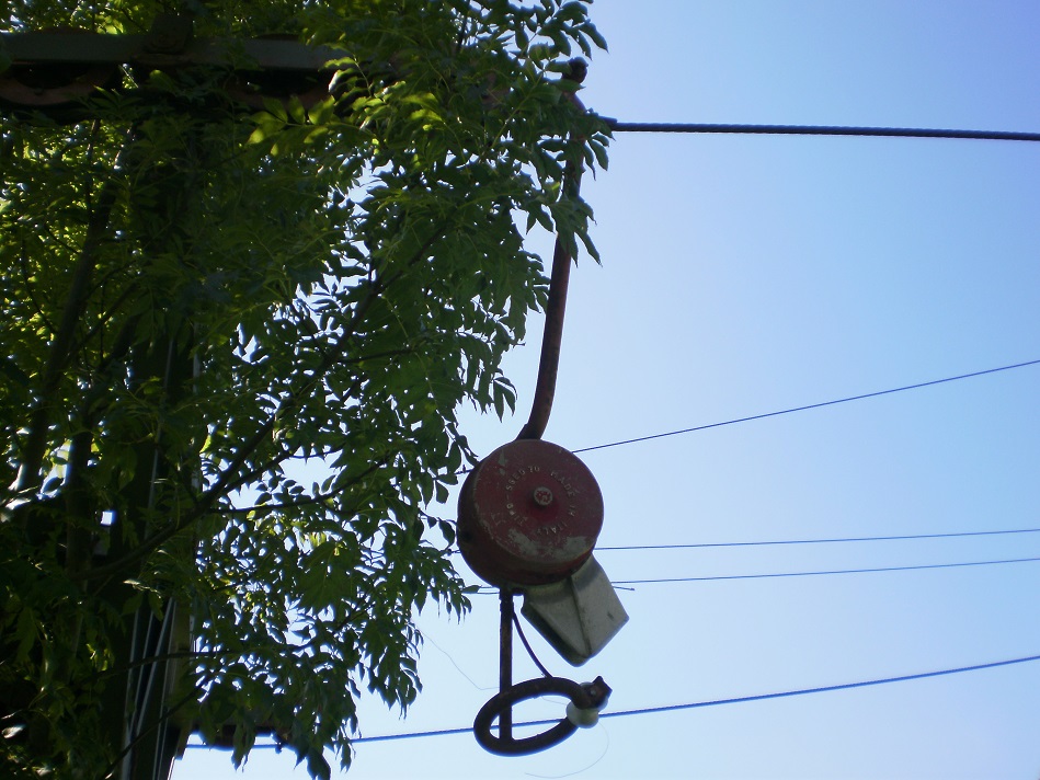 pa020088_01bbf27.jpg