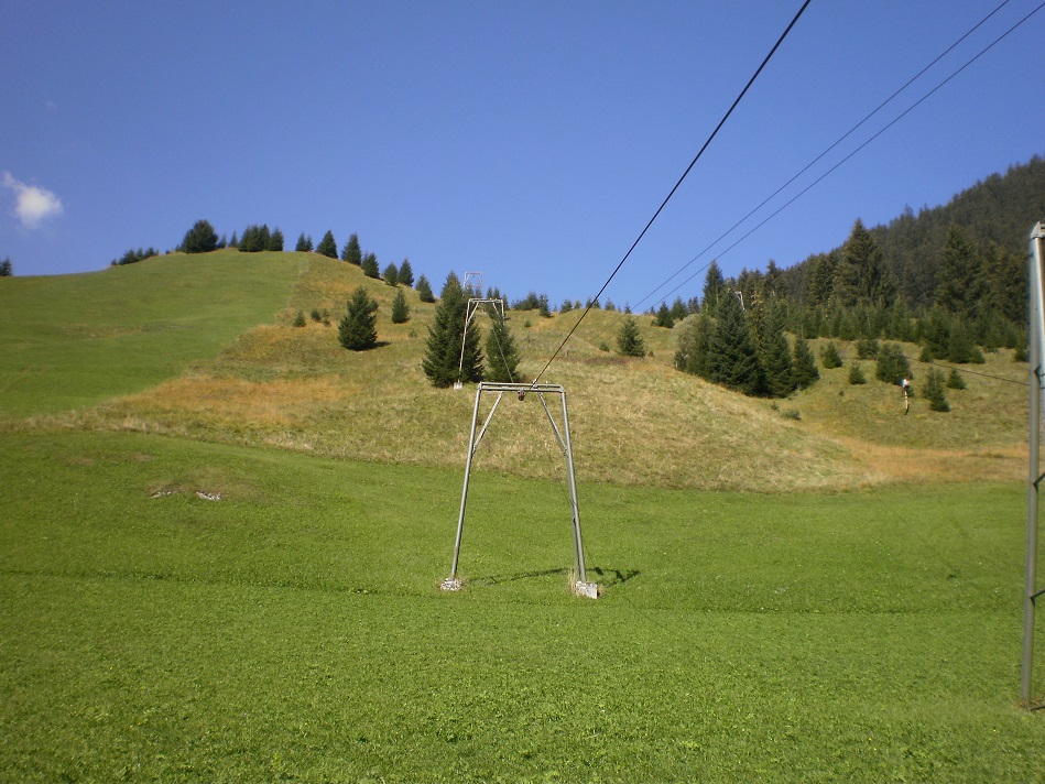 pa020091_01l3eyk.jpg