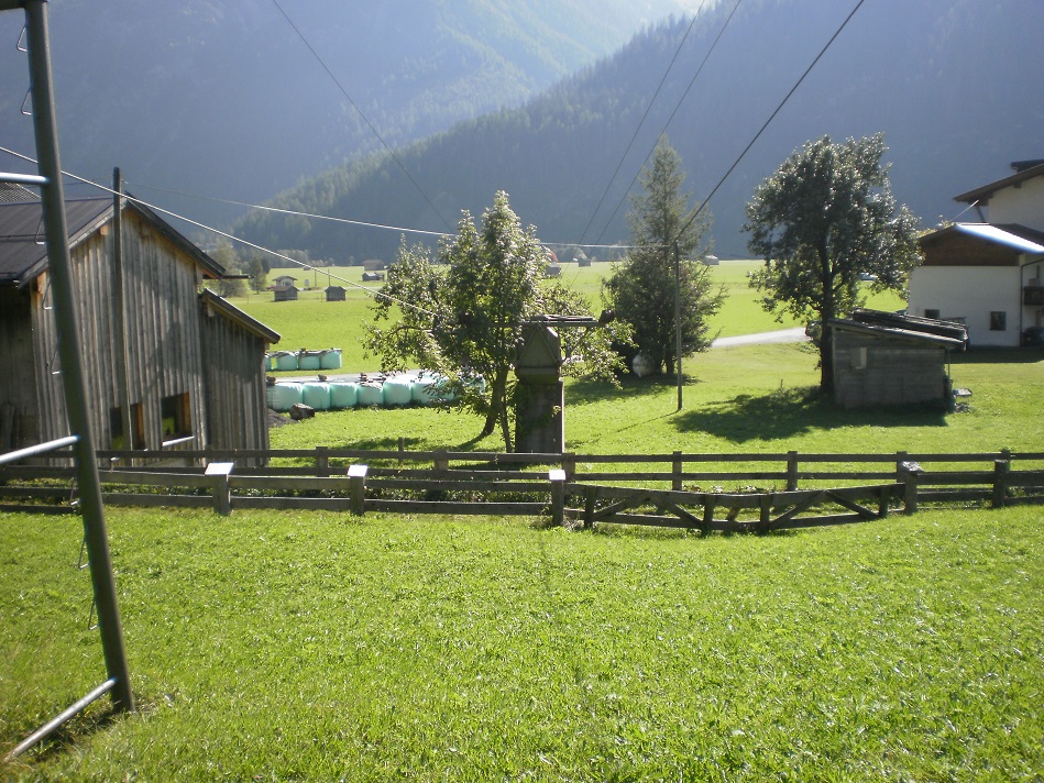 pa020096_0139e9a.jpg