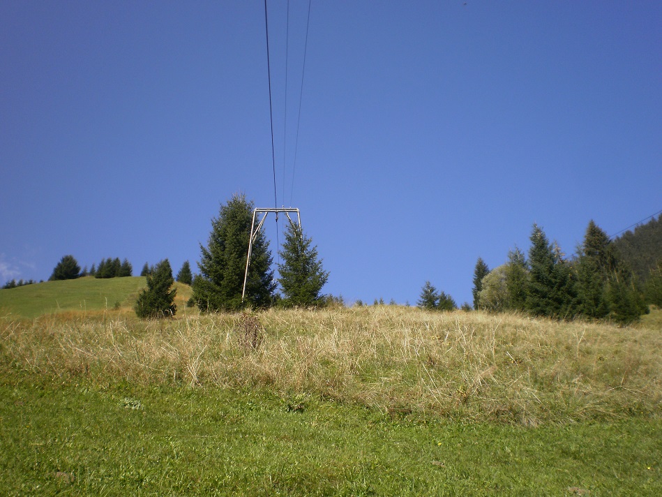 pa020100_018hd6e.jpg