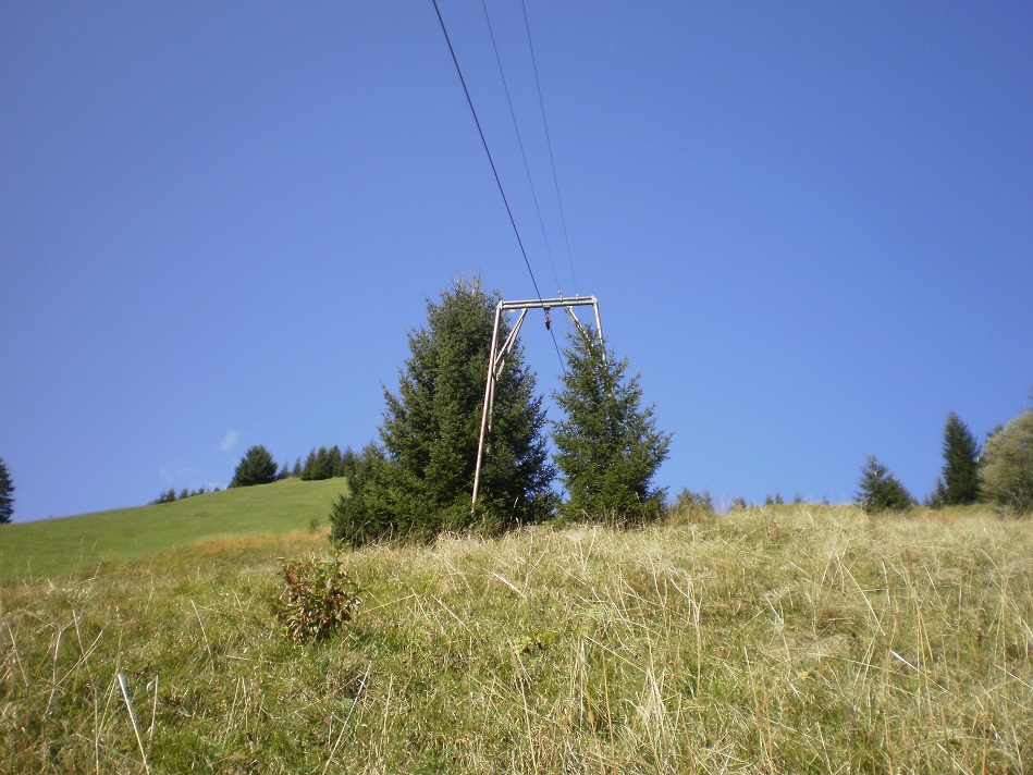 pa020102_01uei4d.jpg