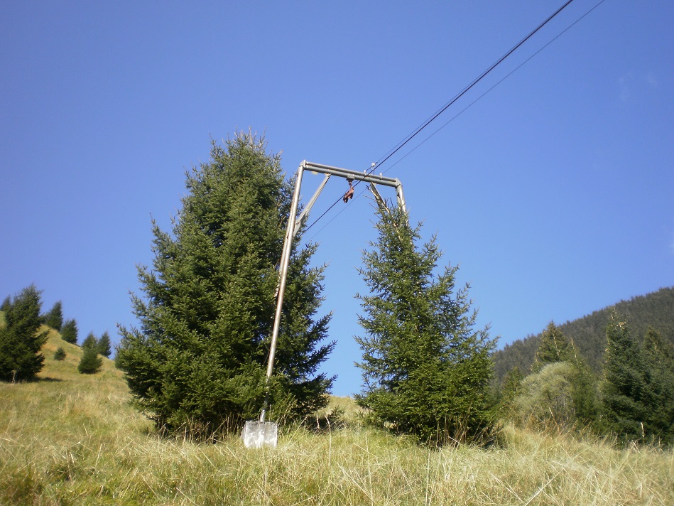 pa020105_018tiw2.jpg
