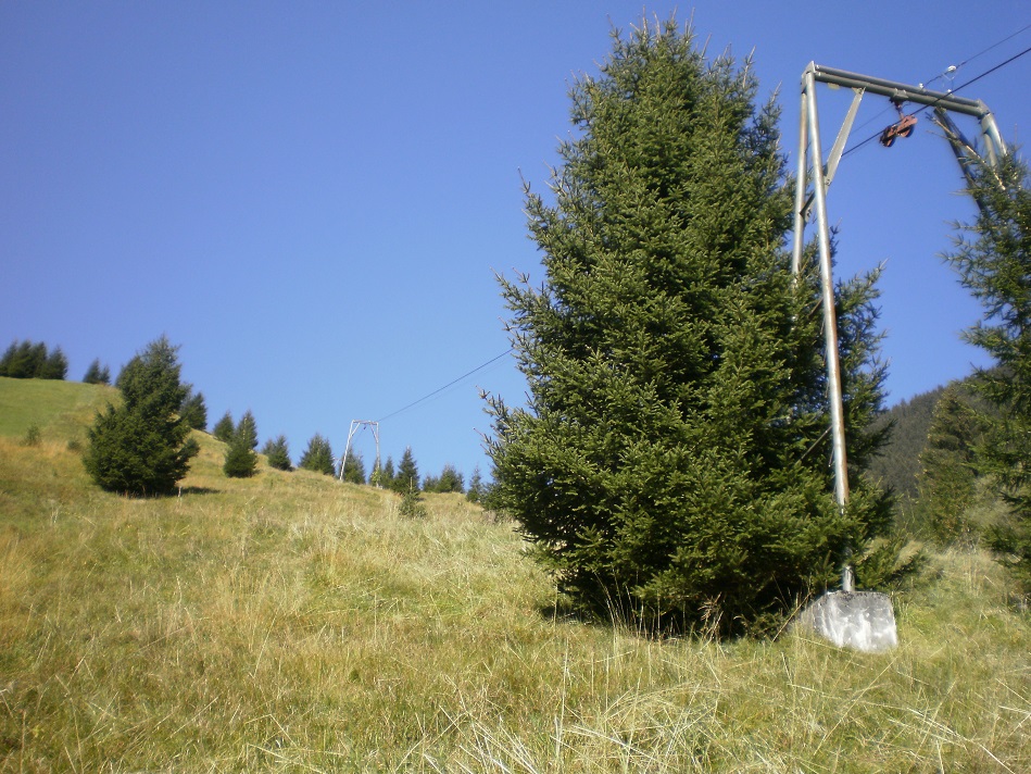 pa020106_0115d01.jpg