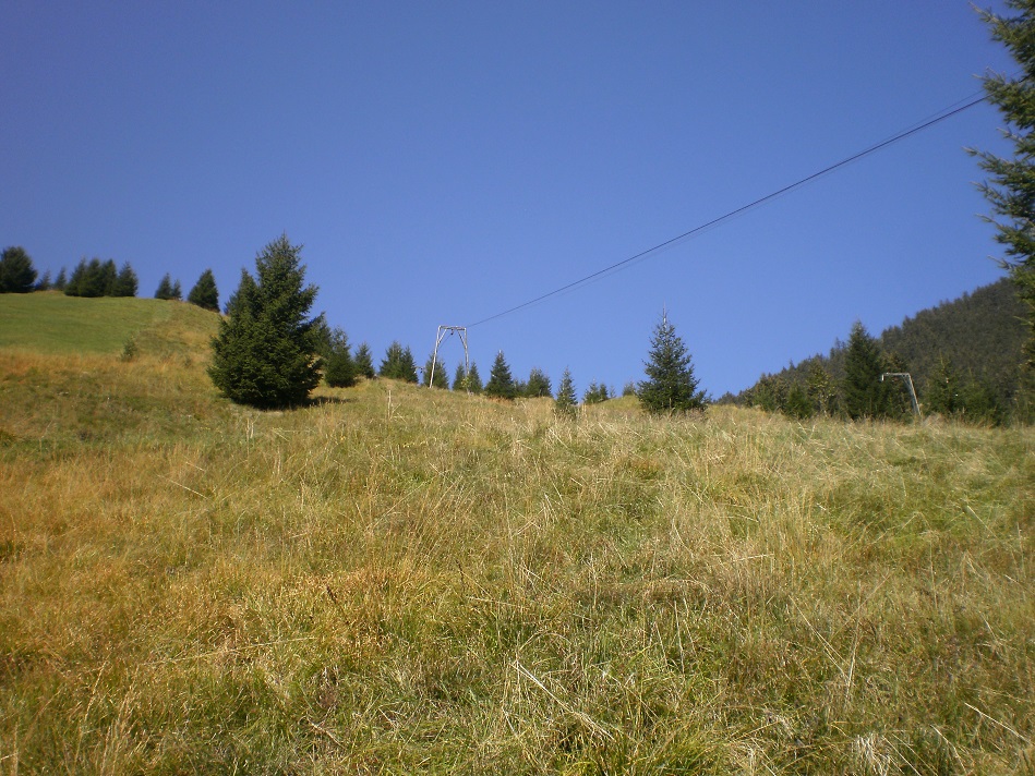 pa020108_01oaic4.jpg