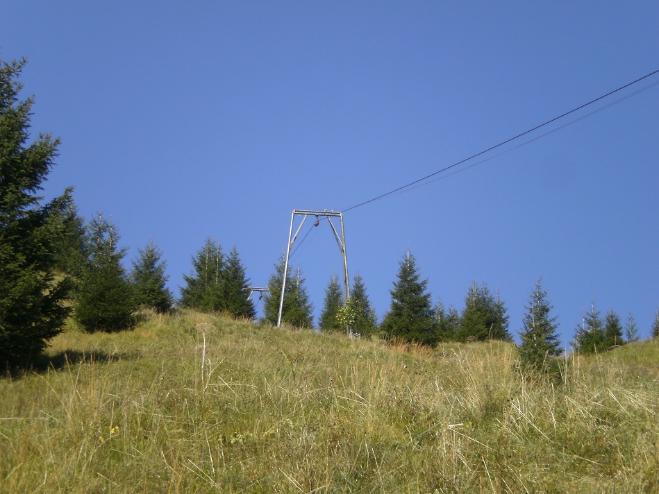 pa020109_01mvf30.jpg