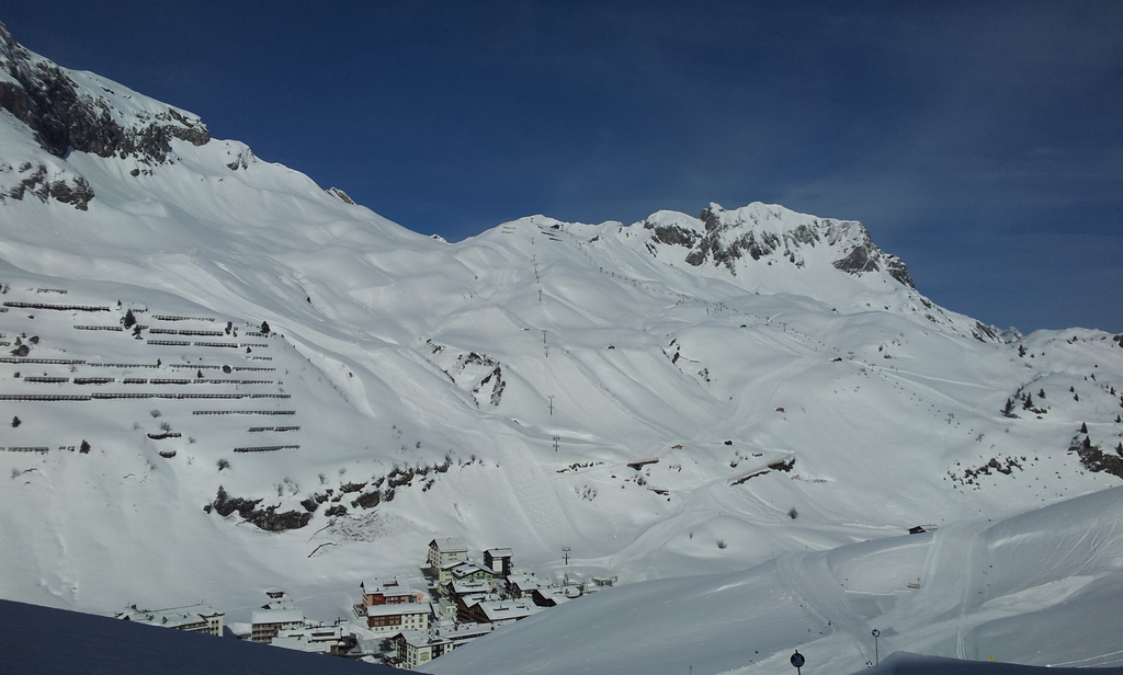 20120419_092439inuc9.jpg