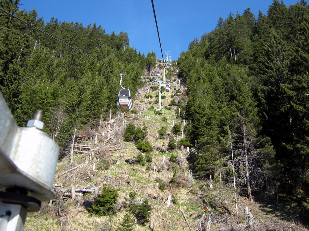 2011_pmg_0308xqodj.jpg