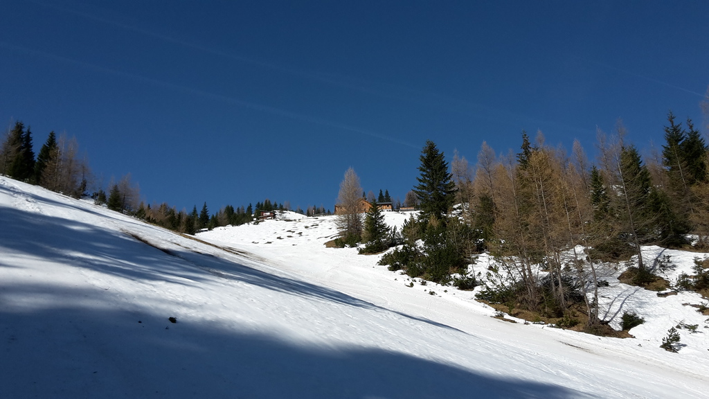 20170331_104702qlsxq.jpg