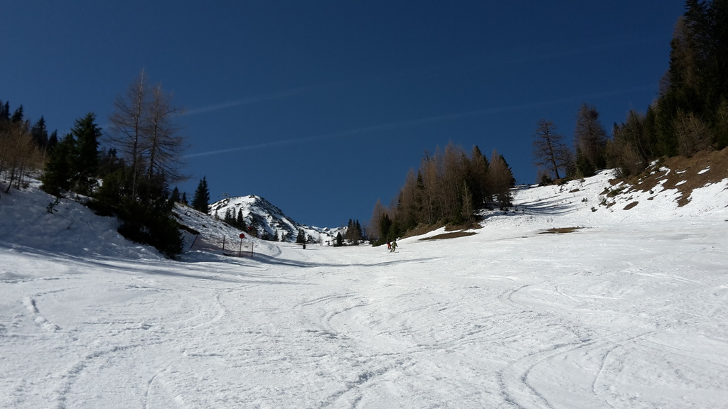 20170331_10482736u76.jpg