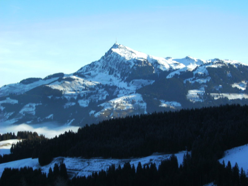 bild0002yjfrw.jpg