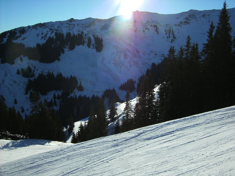 bild0006picyn.jpg