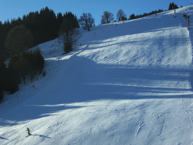 bild00199nizr.jpg