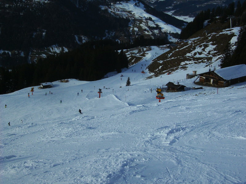 bild0057wbji1.jpg