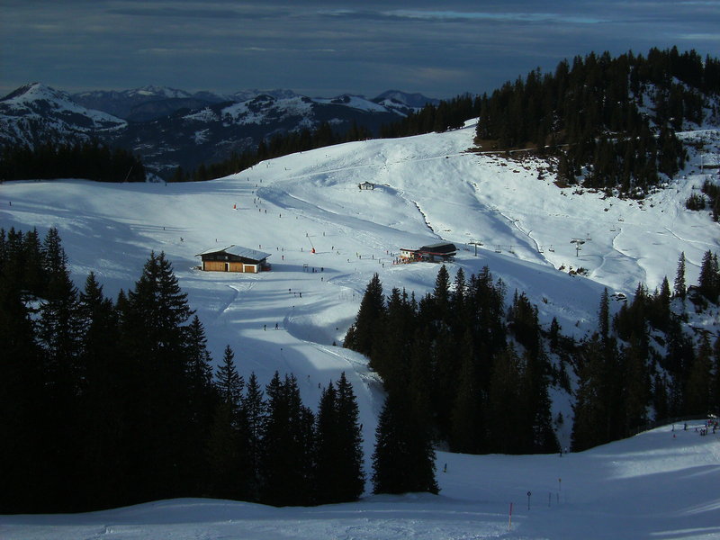bild006381jre.jpg