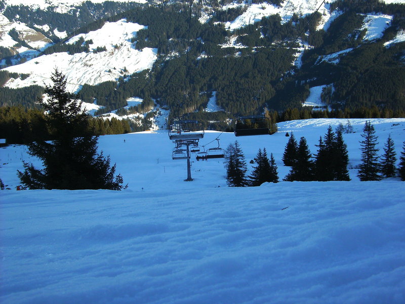 bild0098yyyle.jpg