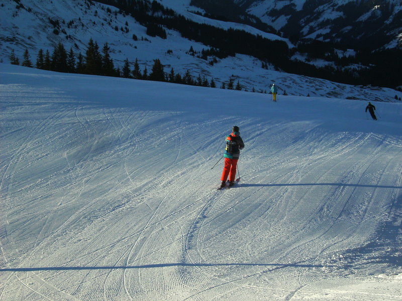 bild01086xs3v.jpg