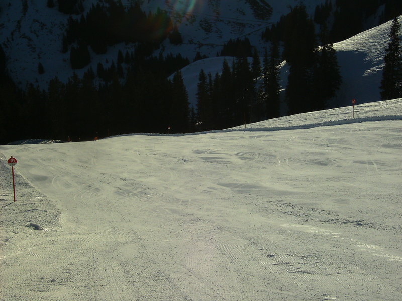 bild0109v6s1r.jpg