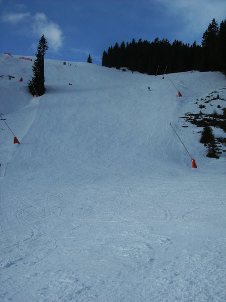 bild0127uofoj.jpg