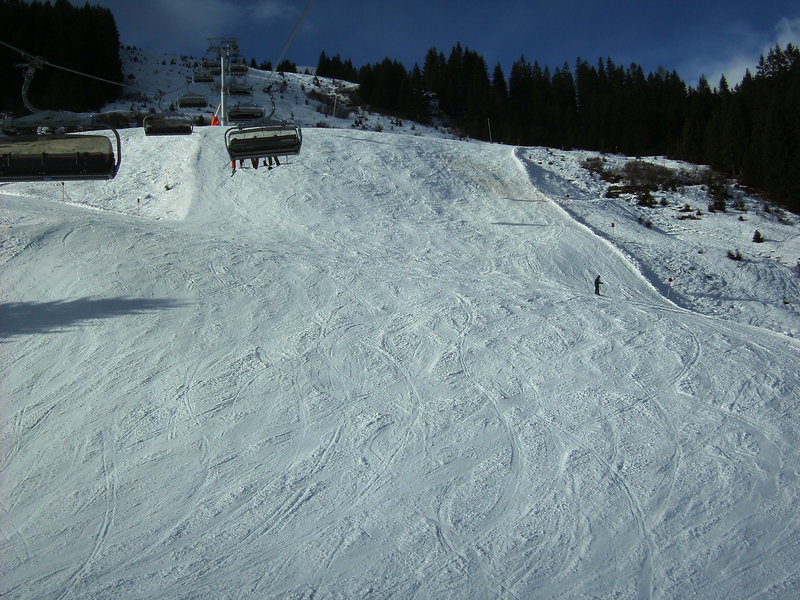 bild012967e91.jpg