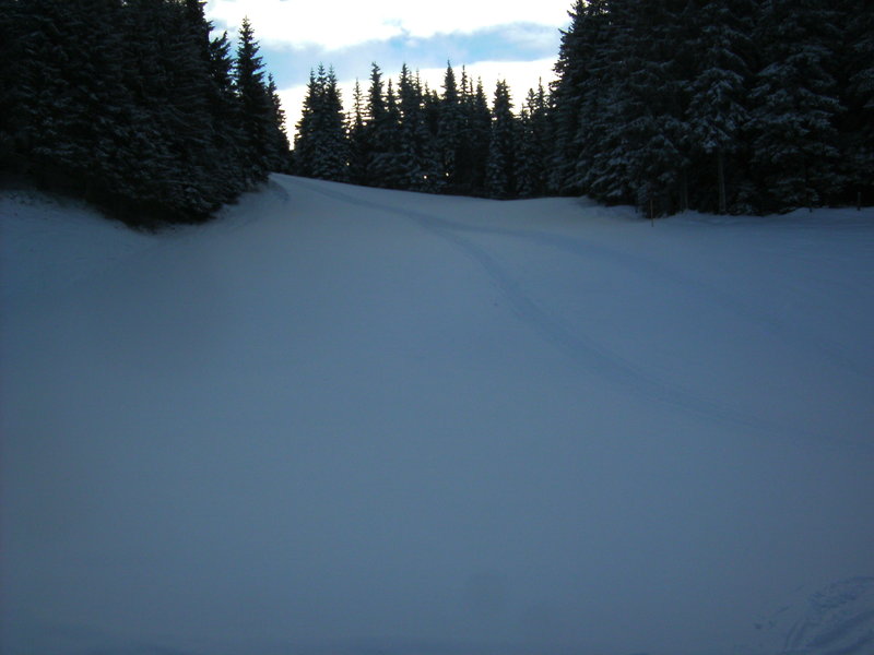 bild0153zte7x.jpg