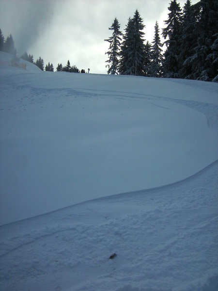 bild01591teuy.jpg