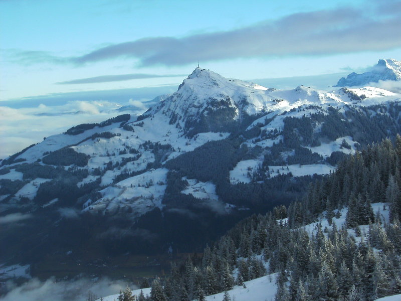 bild01621ti4z.jpg
