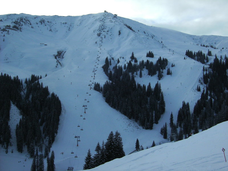 bild01650vdnm.jpg