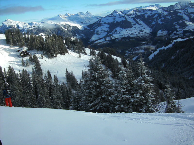 bild01706hcw8.jpg
