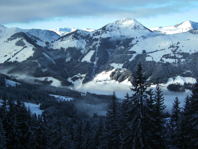 bild0172e3sty.jpg
