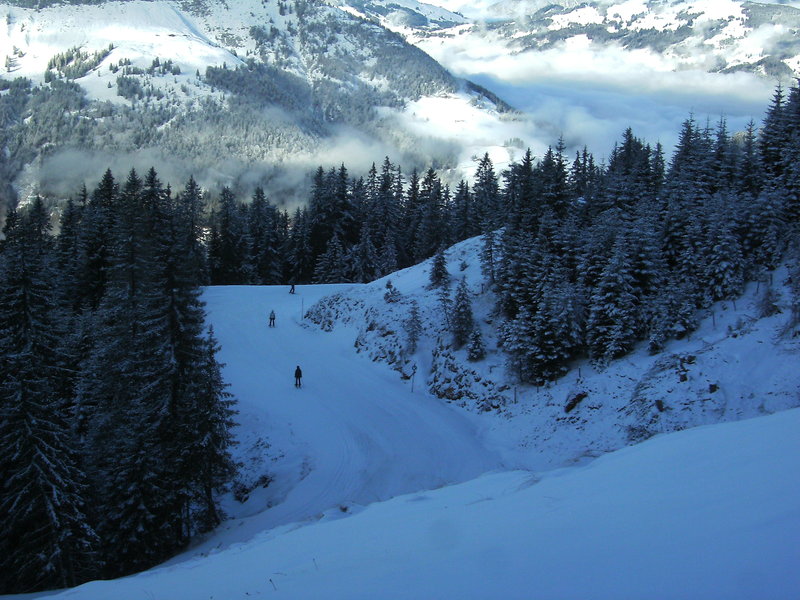 bild0173h6s27.jpg