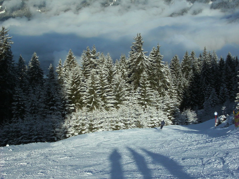 bild01745qspo.jpg