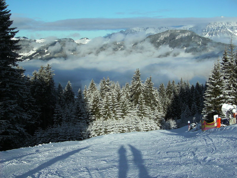 bild01754fsqf.jpg