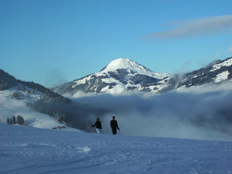 bild0177rgs7h.jpg