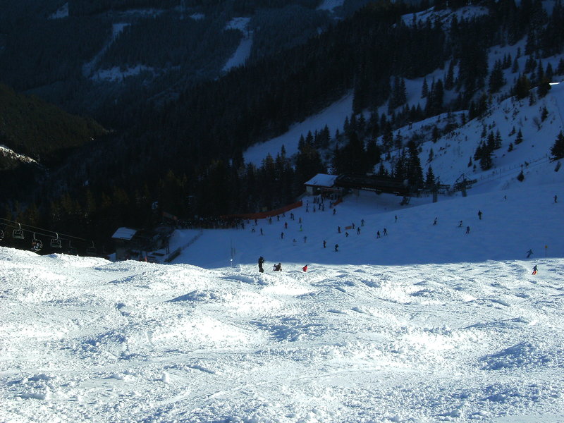 bild01826luh1.jpg
