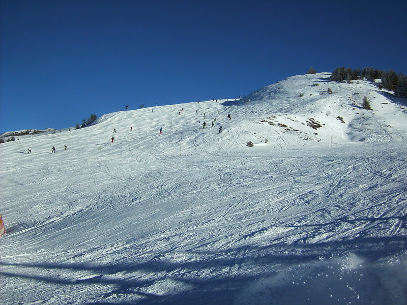 bild0183zqu6z.jpg