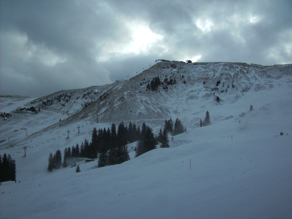 bild0193p9o9p.jpg
