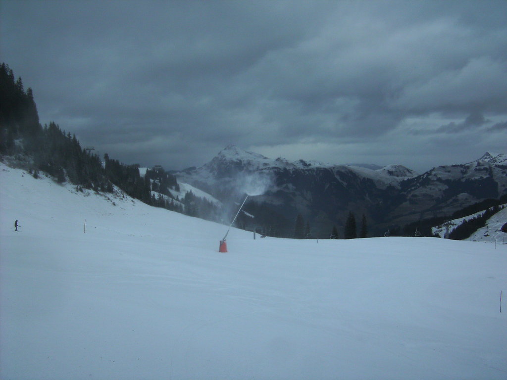 bild0196spr8l.jpg