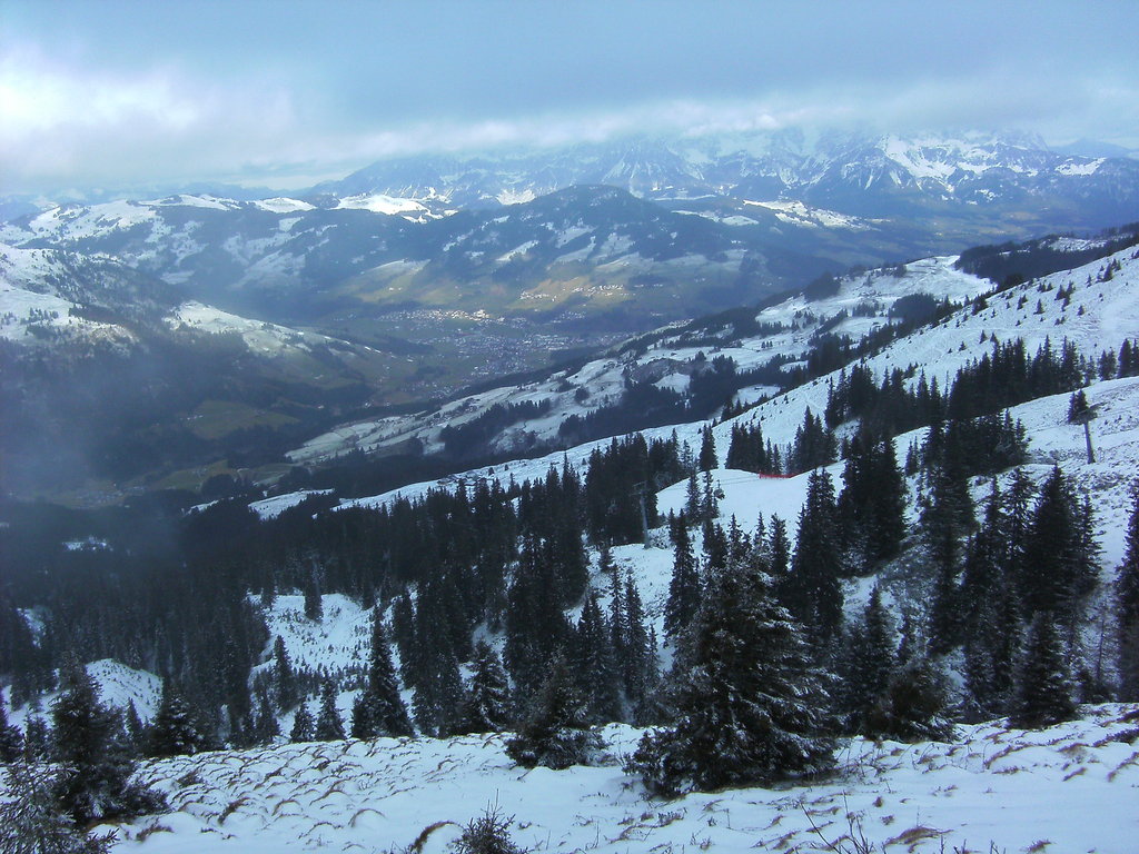bild01998cqv5.jpg