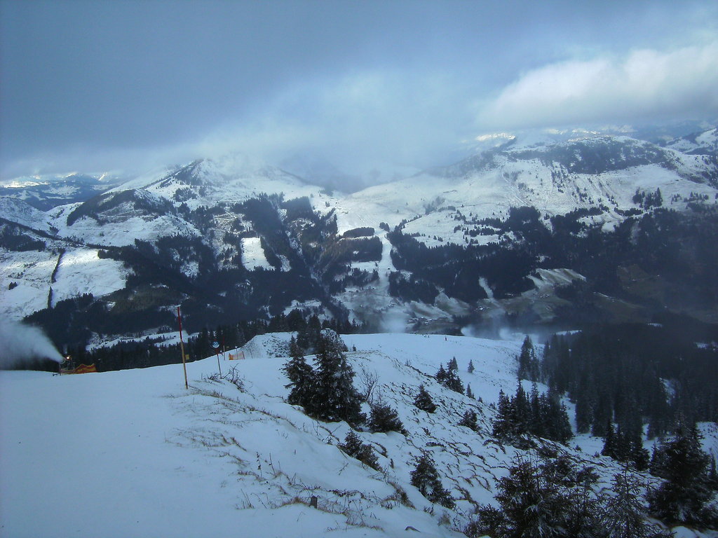 bild0201z1oc2.jpg