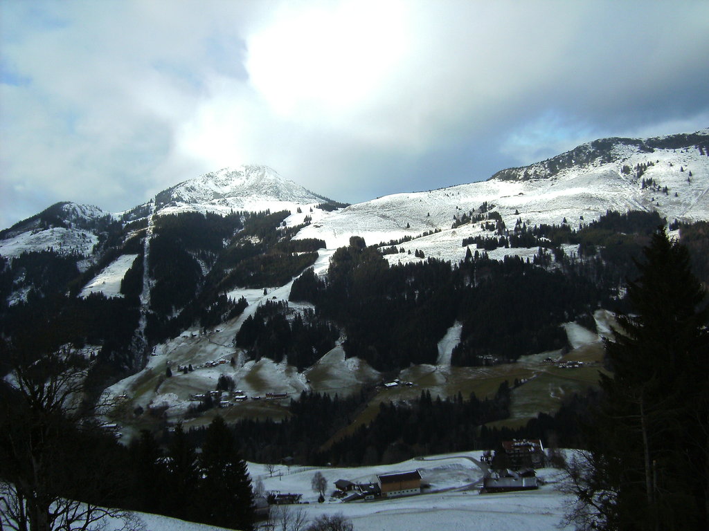 bild0204r2r67.jpg