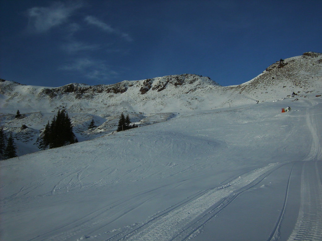 bild0218m7qmq.jpg