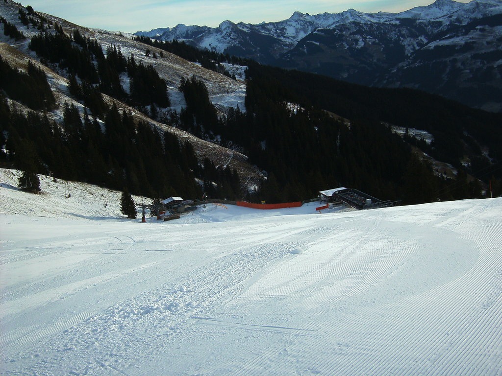 bild0220pmqgp.jpg