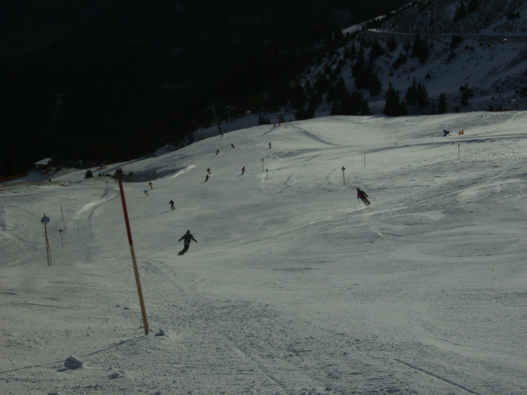 bild0221y2rqa.jpg