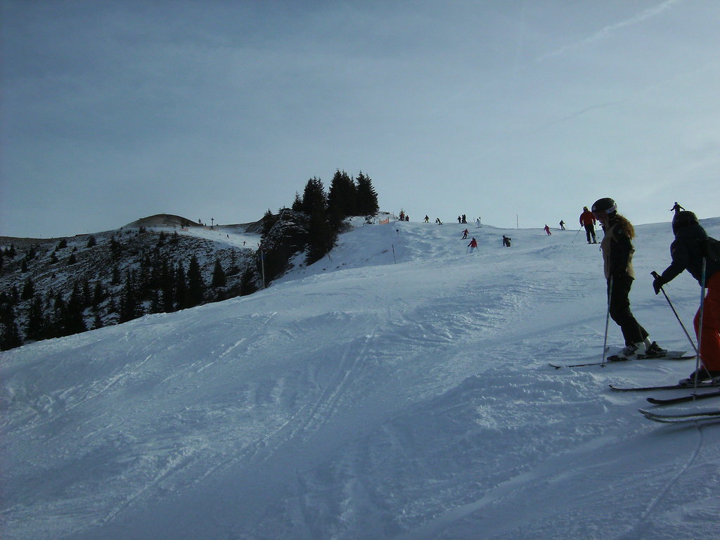 bild02250hrdt.jpg