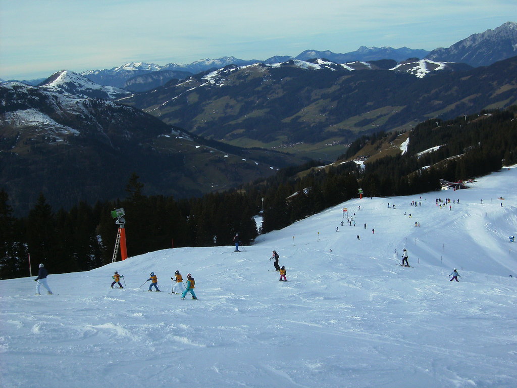 bild02289wp8o.jpg